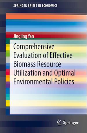 Comprehensive Evaluation of Effective Biomass Resource Utilization and Optimal Environmental Policies