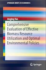 Comprehensive Evaluation of Effective Biomass Resource Utilization and Optimal Environmental Policies