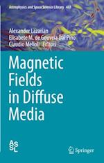 Magnetic Fields in Diffuse Media