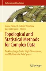 Topological and Statistical Methods for Complex Data