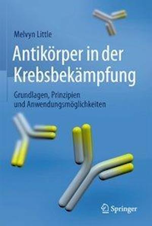 Antikörper in der Krebsbekämpfung