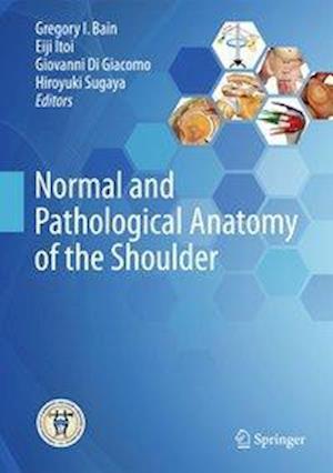 Normal and Pathological Anatomy of the Shoulder