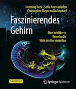 Faszinierendes Gehirn