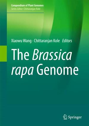 Brassica rapa Genome