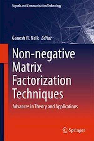 Non-negative Matrix Factorization Techniques