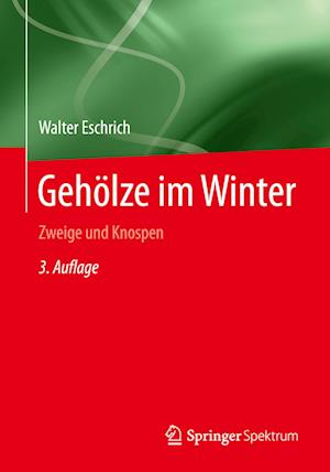 Gehölze im Winter