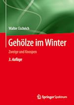 Gehölze im Winter