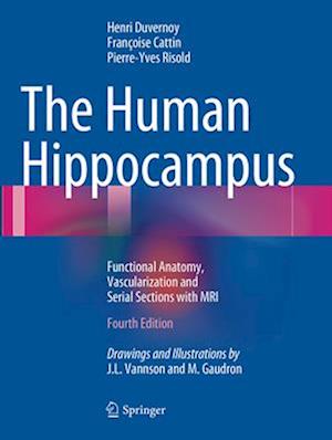 The Human Hippocampus