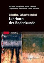 Scheffer/Schachtschabel: Lehrbuch der Bodenkunde