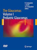 The Glaucomas