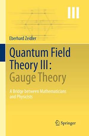 Quantum Field Theory III: Gauge Theory