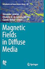Magnetic Fields in Diffuse Media