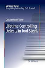 Lifetime Controlling Defects in Tool Steels