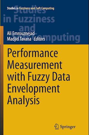 Performance Measurement with Fuzzy Data Envelopment Analysis