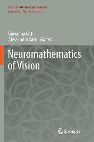 Neuromathematics of Vision