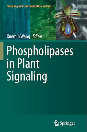 Phospholipases in Plant Signaling