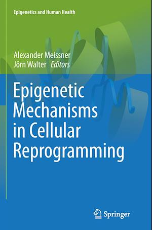 Epigenetic Mechanisms in Cellular Reprogramming