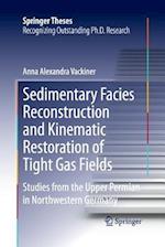 Sedimentary Facies Reconstruction and Kinematic Restoration of Tight Gas Fields