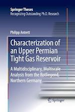 Characterization of an Upper Permian Tight Gas Reservoir