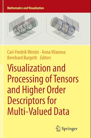 Visualization and Processing of Tensors and Higher Order Descriptors for Multi-Valued Data