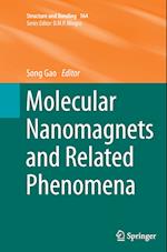 Molecular Nanomagnets and Related Phenomena