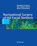 Navigational Surgery of the Facial Skeleton