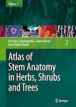 Atlas of Stem Anatomy in Herbs, Shrubs and Trees