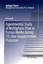 Experimental Study of Multiphase Flow in Porous Media during CO2 Geo-Sequestration Processes