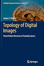 Topology of Digital Images