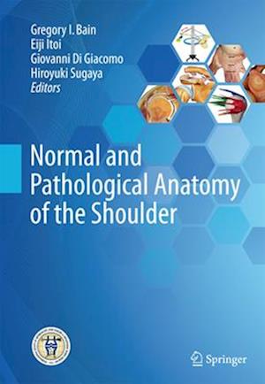 Normal and Pathological Anatomy of the Shoulder