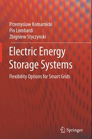 Electric Energy Storage Systems
