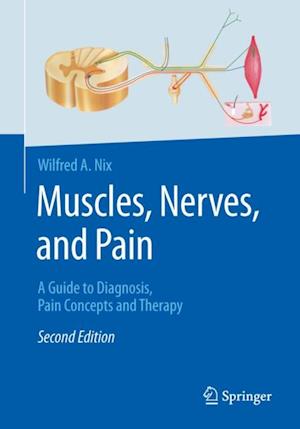 Muscles, Nerves, and Pain