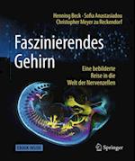 Faszinierendes Gehirn