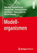 Modellorganismen