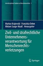 Zivil- und strafrechtliche Unternehmensverantwortung für Menschenrechtsverletzungen