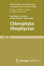 Freshwater Flora of Central Europe, Vol 13: Chlorophyta: Ulvophyceae (Süßwasserflora von Mitteleuropa,  Bd. 13: Chlorophyta: Ulvophyceae)