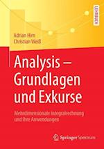 Analysis - Grundlagen Und Exkurse