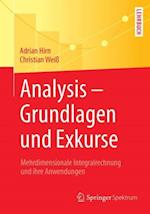 Analysis – Grundlagen und Exkurse