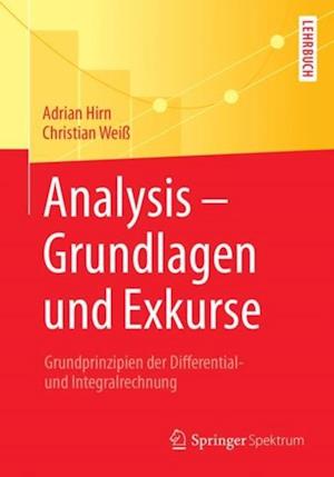 Analysis – Grundlagen und Exkurse