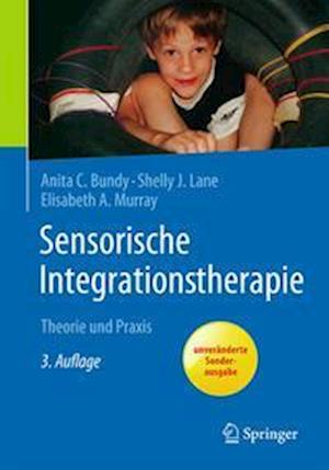 Sensorische Integrationstherapie