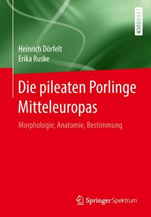 Die pileaten Porlinge Mitteleuropas