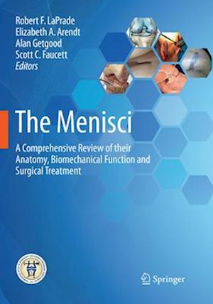 The Menisci