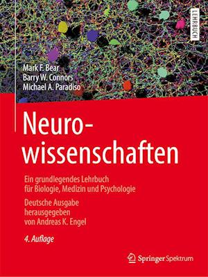 Neurowissenschaften