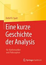 Eine kurze Geschichte der Analysis