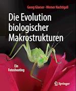 Die Evolution biologischer Makrostrukturen