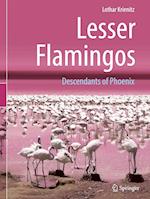 Lesser Flamingos