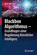 Blackbox Algorithmus - Grundfragen Einer Regulierung Künstlicher Intelligenz