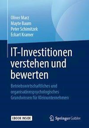 IT-Investitionen verstehen und bewerten