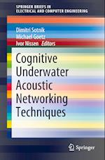 Cognitive Underwater Acoustic Networking Techniques