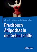 Praxisbuch Adipositas in der Geburtshilfe